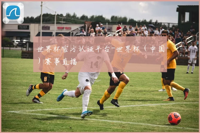 世界杯官方认证平台-世界杯（中国）赛事直播