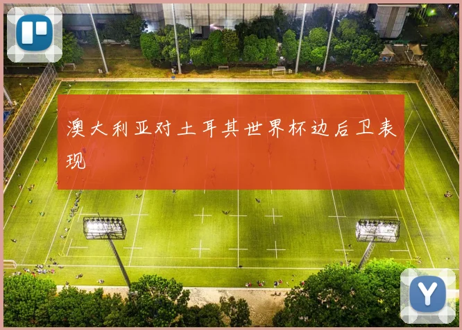澳大利亚对土耳其世界杯边后卫表现