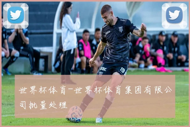世界杯体育-世界杯体育集团有限公司批量处理