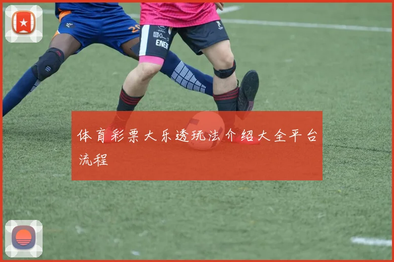 体育彩票大乐透玩法介绍大全平台流程
