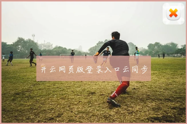 开云网页版登录入口云同步