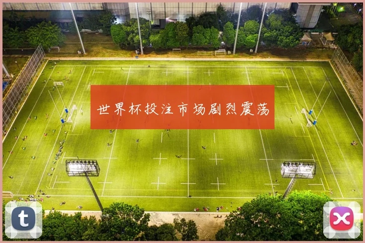 世界杯投注市场剧烈震荡