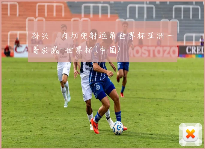孙兴慜内切兜射远角世界杯亚洲一哥发威-世界杯(中国)