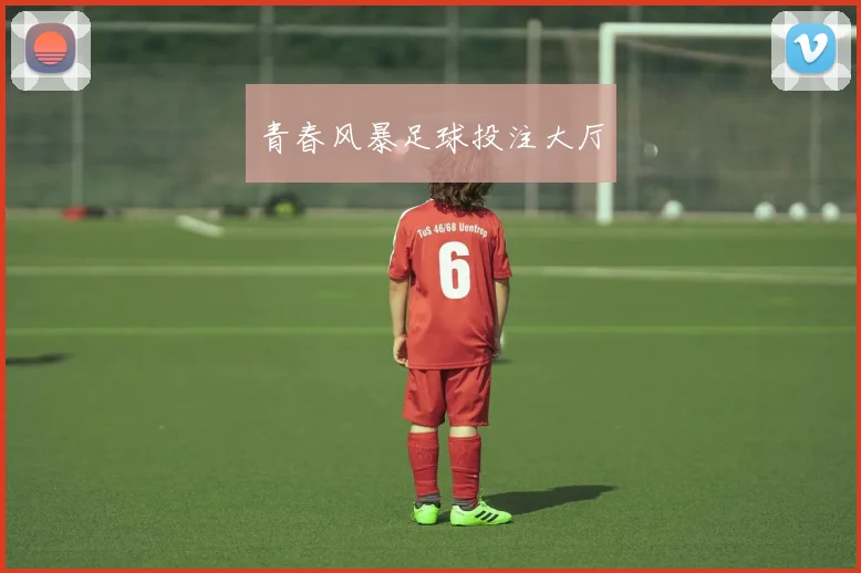 青春风暴足球投注大厅