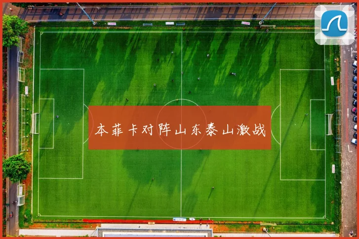 本菲卡对阵山东泰山激战