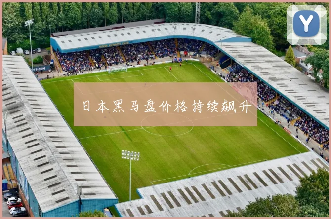 日本黑马盘价格持续飙升