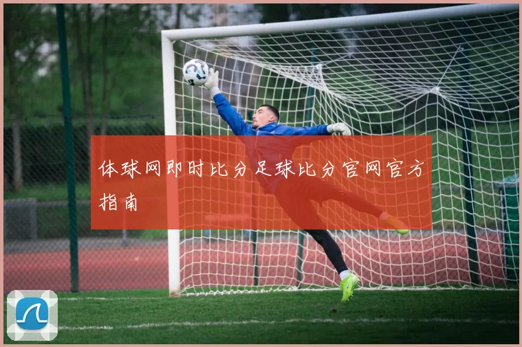 体球网即时比分足球比分官网官方指南