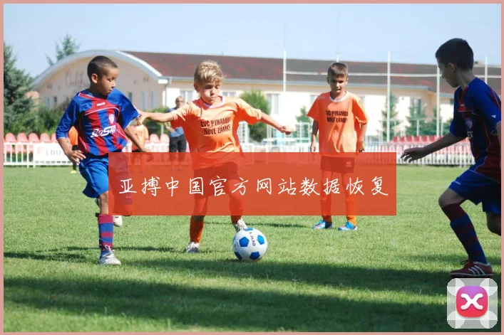 亚搏中国官方网站数据恢复