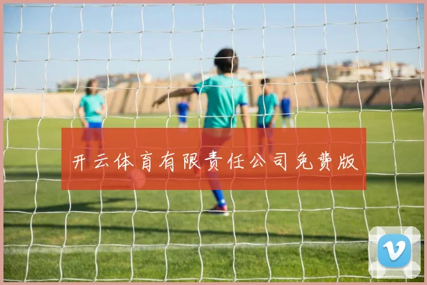 开云体育有限责任公司免费版