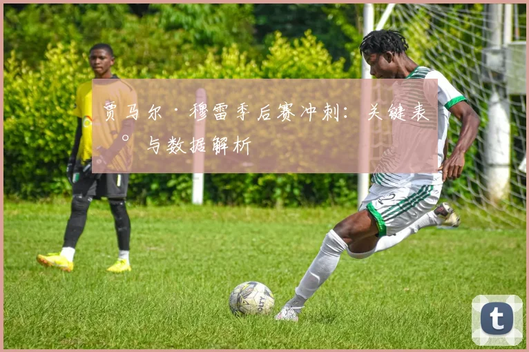 贾马尔·穆雷季后赛冲刺：关键表现与数据解析
