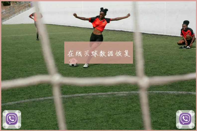 在线买球数据恢复