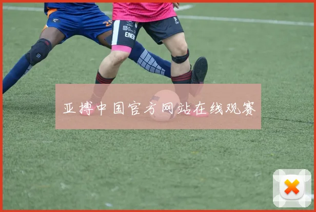 亚搏中国官方网站在线观赛