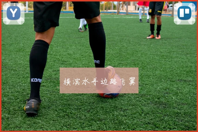 横滨水手边路飞翼