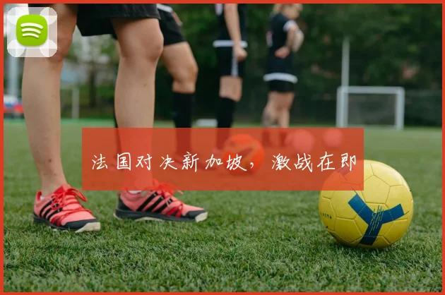 法国对决新加坡，激战在即