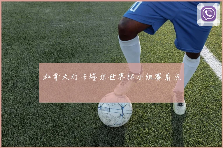 加拿大对卡塔尔世界杯小组赛看点