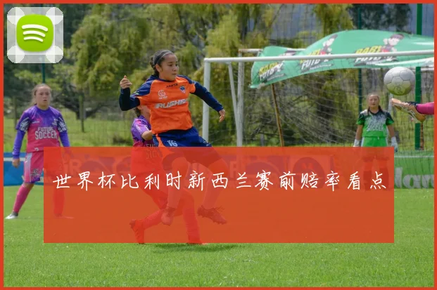 世界杯比利时新西兰赛前赔率看点
