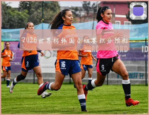 2026世界杯韩国小组赛积分预测
