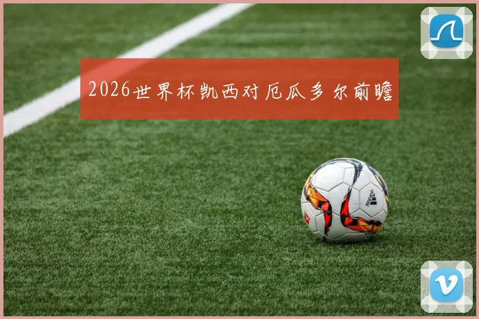2026世界杯凯西对厄瓜多尔前瞻