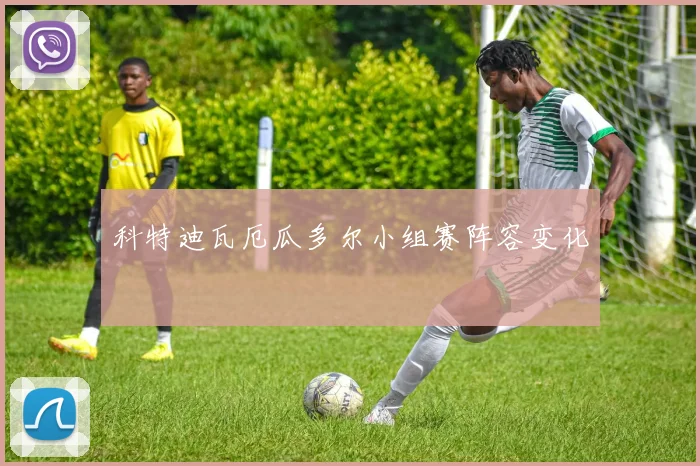 科特迪瓦厄瓜多尔小组赛阵容变化