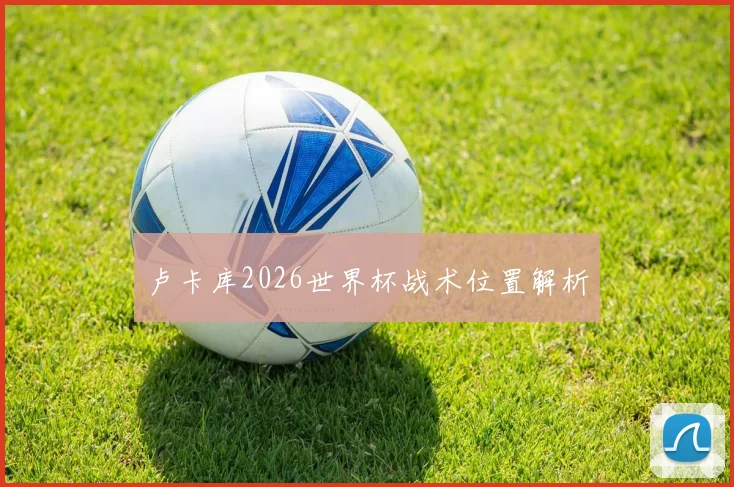 卢卡库2026世界杯战术位置解析