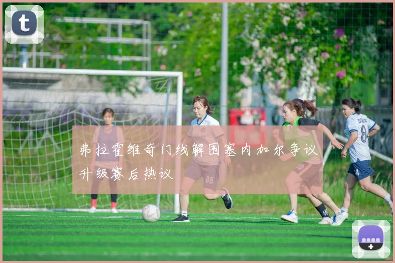 弗拉霍维奇门线解围塞内加尔争议升级赛后热议