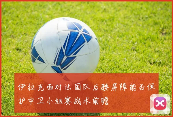 伊拉克面对法国队后腰屏障能否保护中卫小组赛战术前瞻